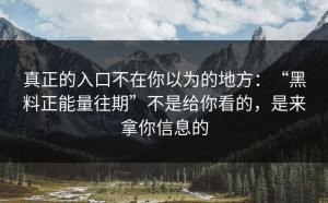 真正的入口不在你以为的地方：“黑料正能量往期”不是给你看的，是来拿你信息的